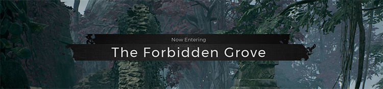The Forbidden Grove