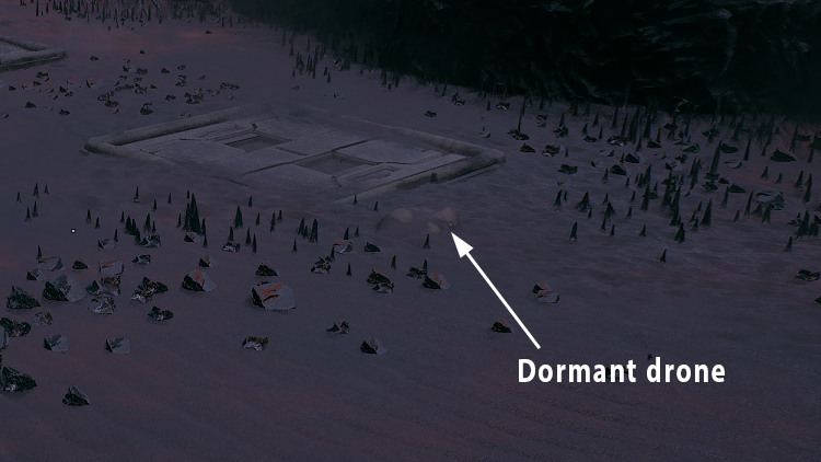 Dormant drone
