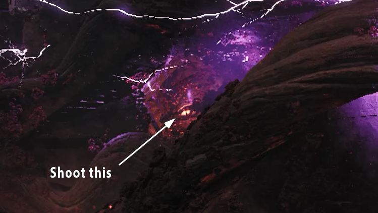 Shoot this root nodule