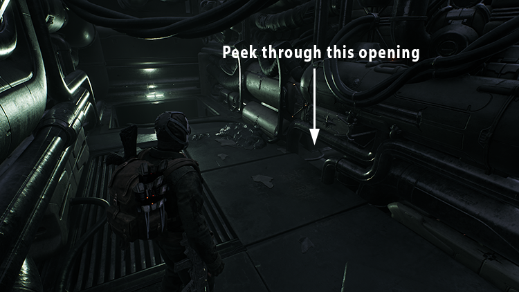 Peeking through the opening