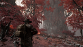 Thumbnail for version as of 11:39, 20 October 2024